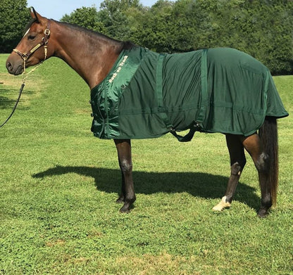 Back On Track Mesh Sheet