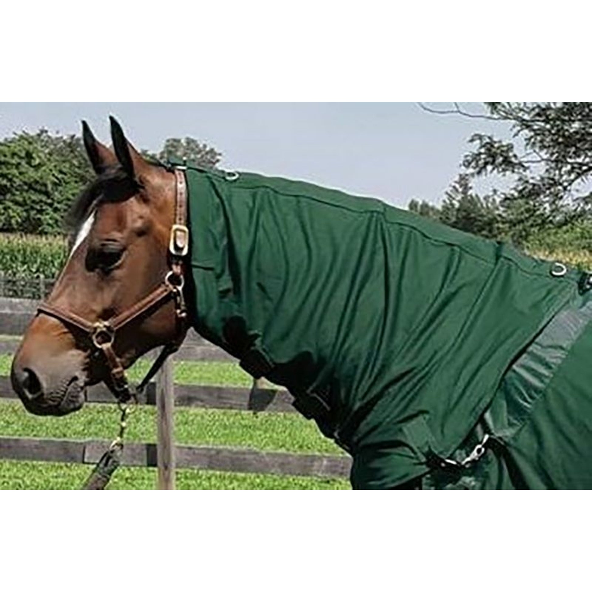Back on Track Mesh Horse Neck Cover