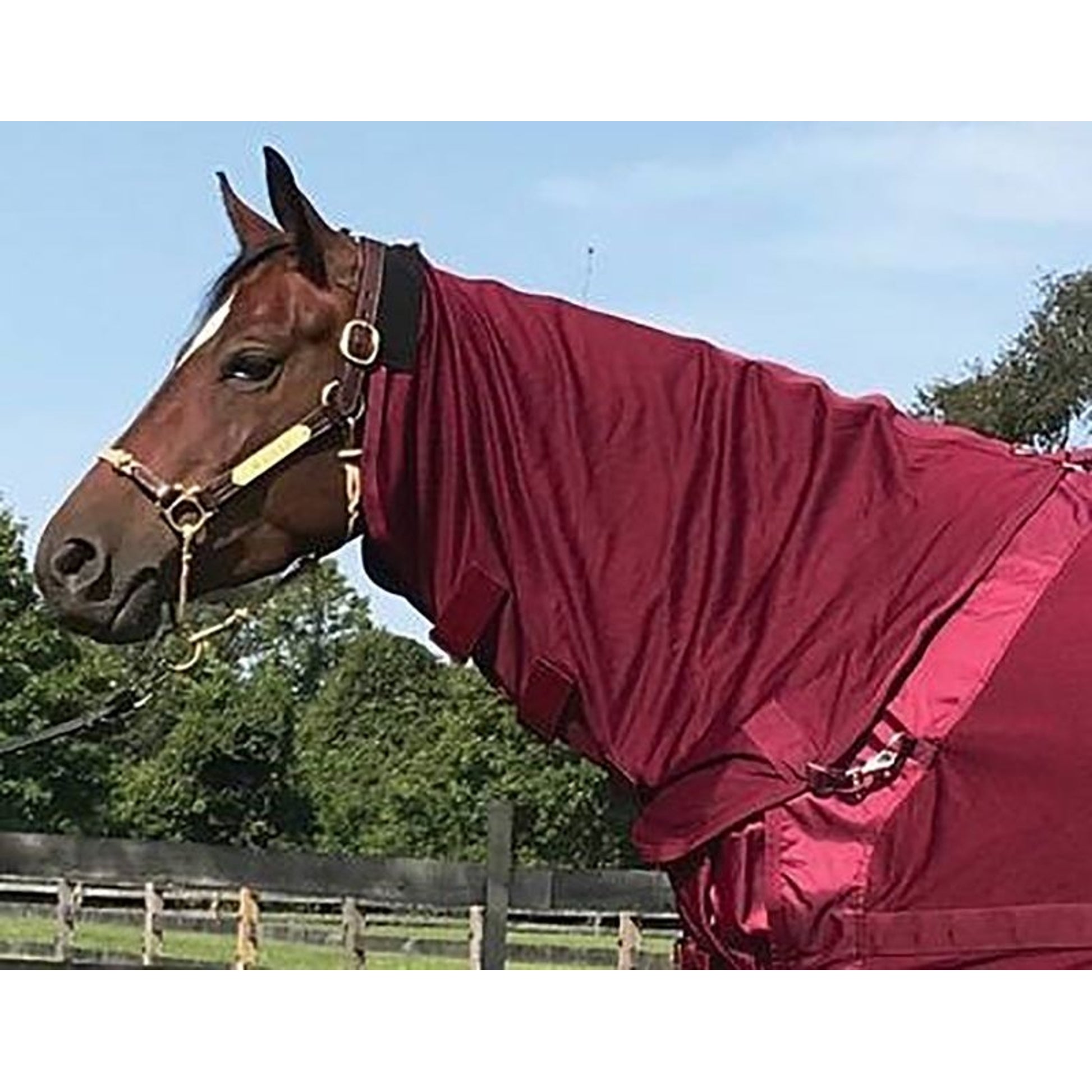 Back on Track Mesh Horse Neck Cover