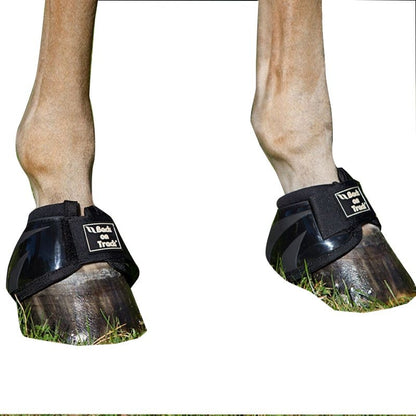 Back on Track Performance Bell Boots