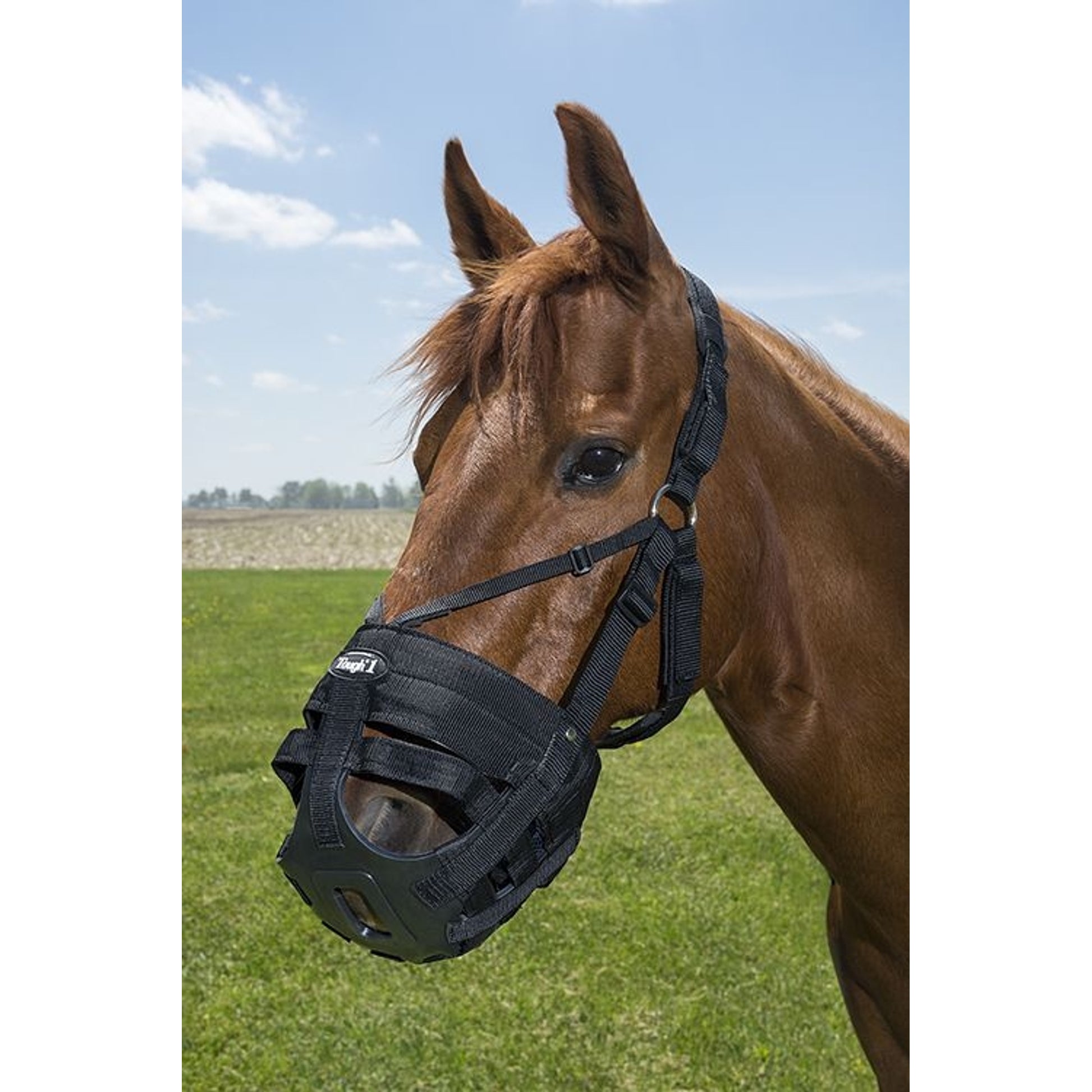 Tough1 Muzzle Replacement Crown/Chin Pad Set