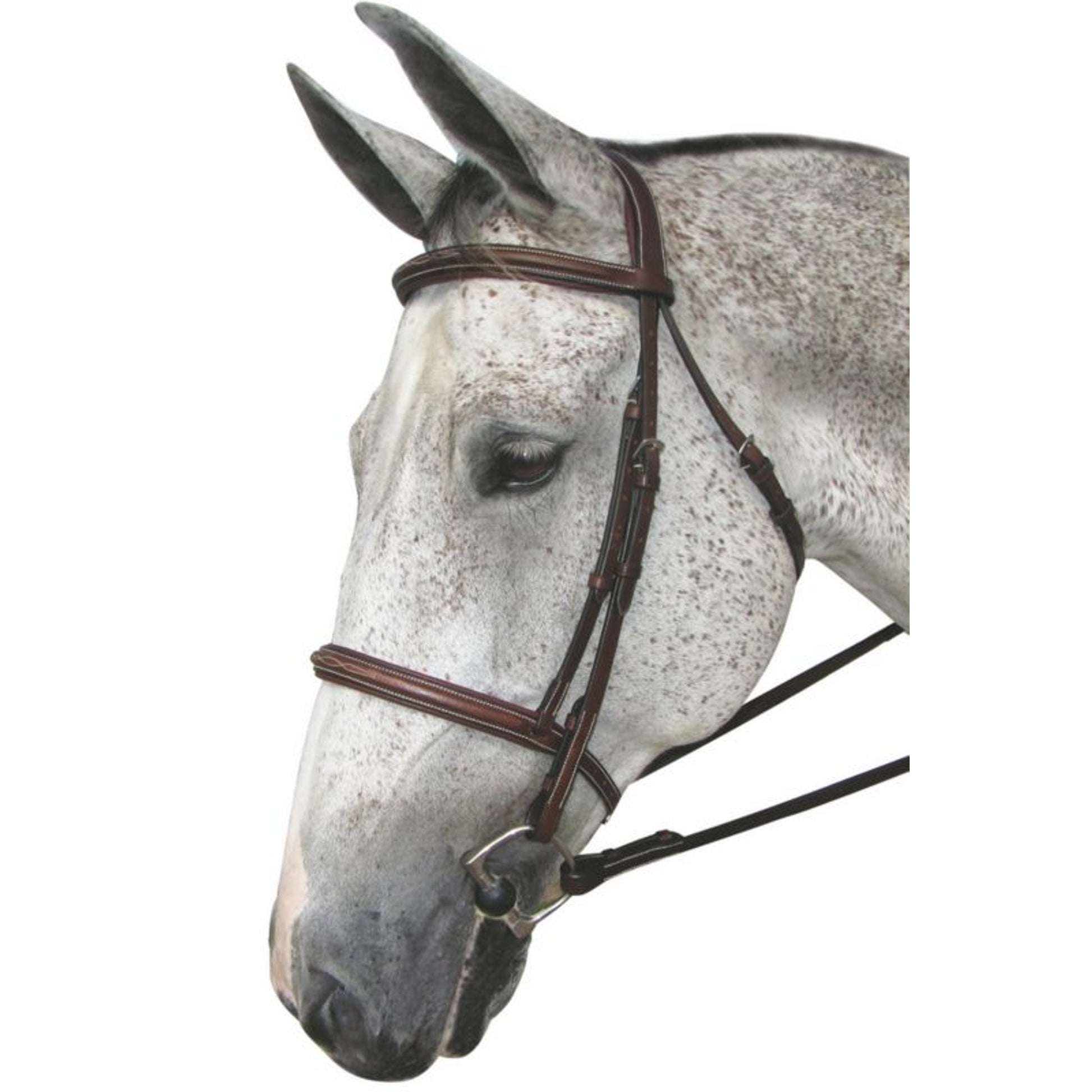 HDR Pro Mono Crown Fancy Padded Bridle