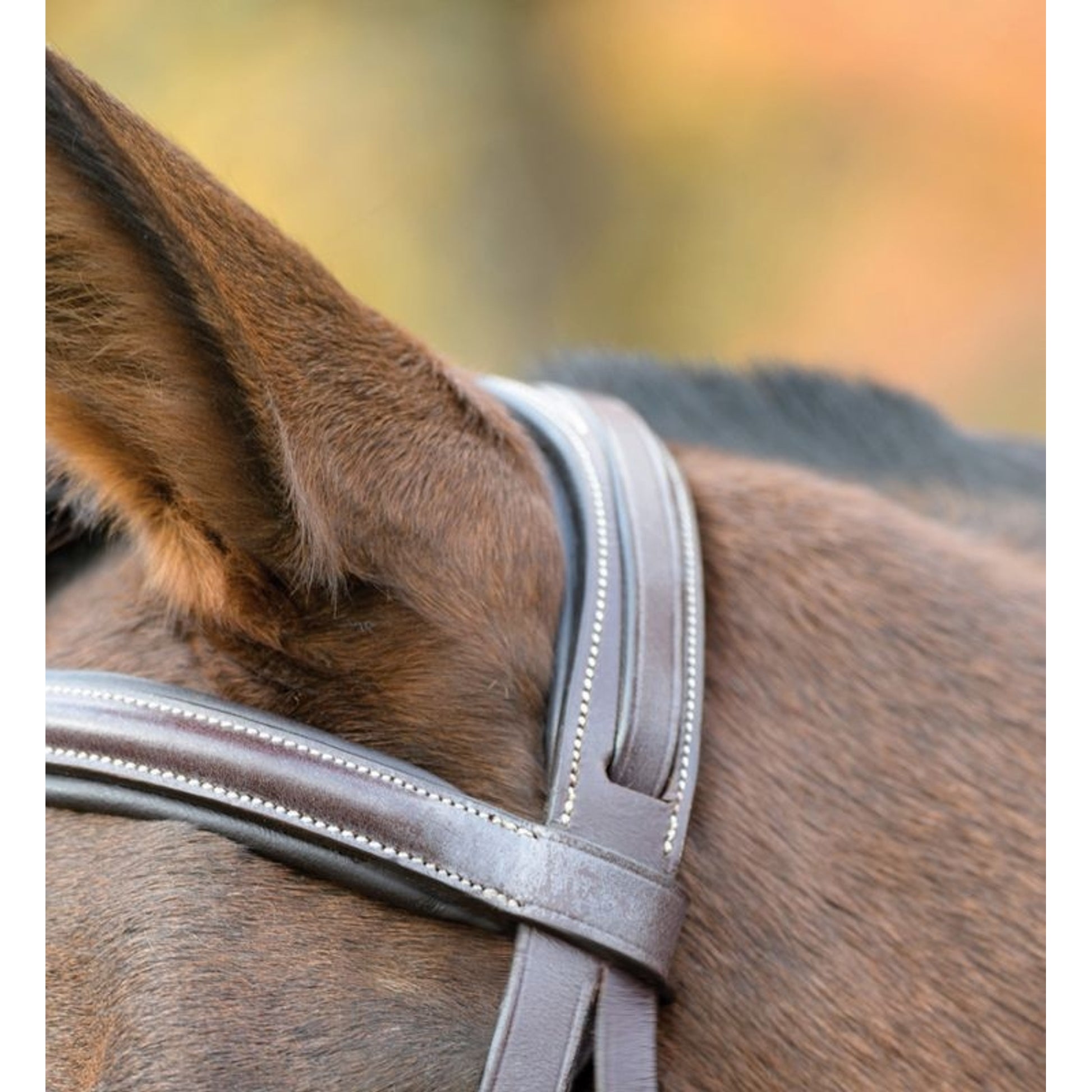 Shires Avignon Nashville Bridle