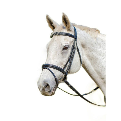 Shires Avignon Louisville Bridle