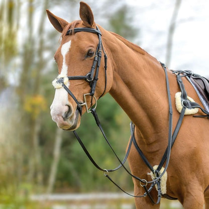 Shires Avignon Five Point Breastplate