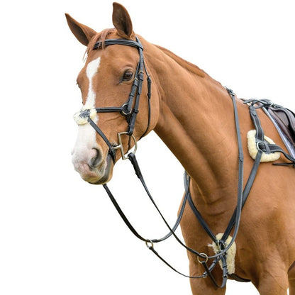 Shires Avignon Five Point Breastplate