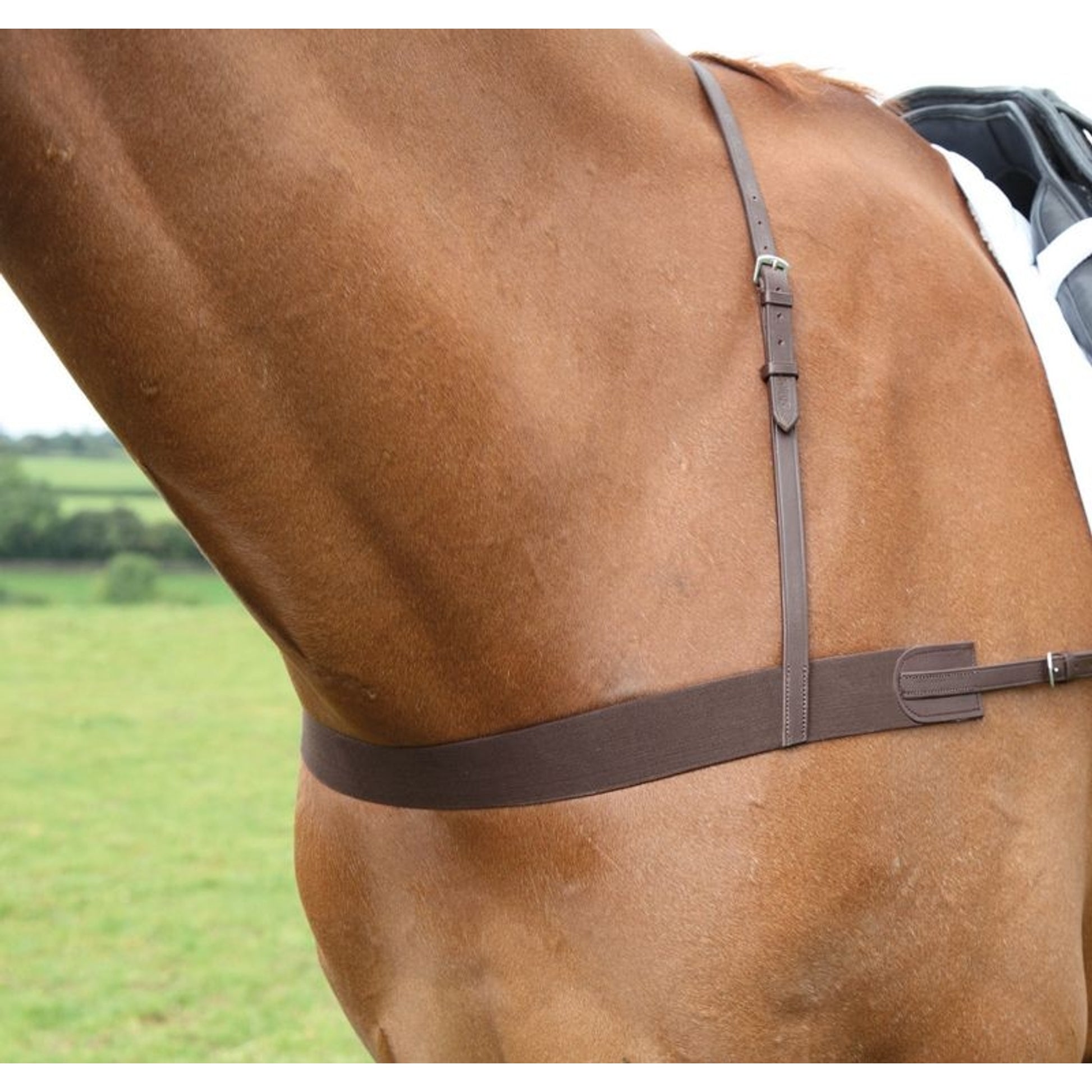 Avignon Elastic Breastgirth