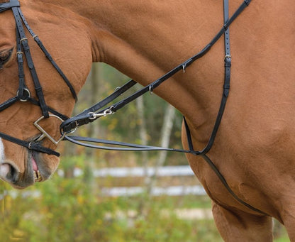 Shires Avignon German Martingale