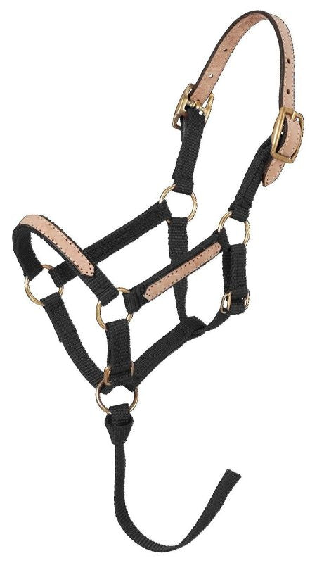 Tough1 Miniature Breakaway Halter