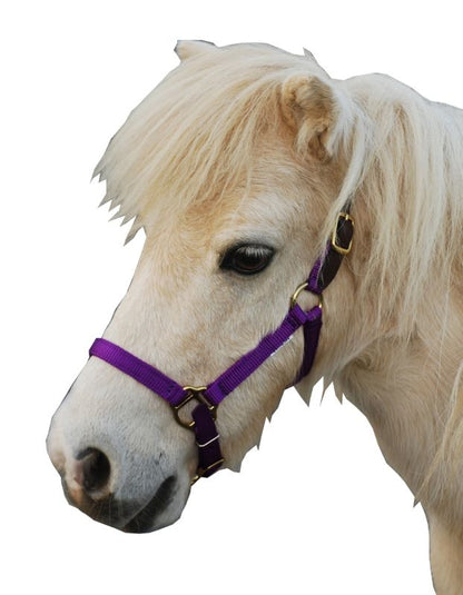 Triple E Nylon Mini Halter with Leather Crown