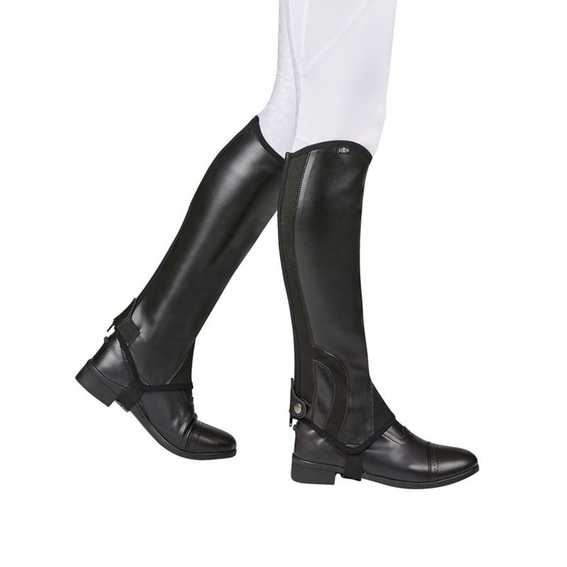 Saxon Adults Syntovia Half Chaps
