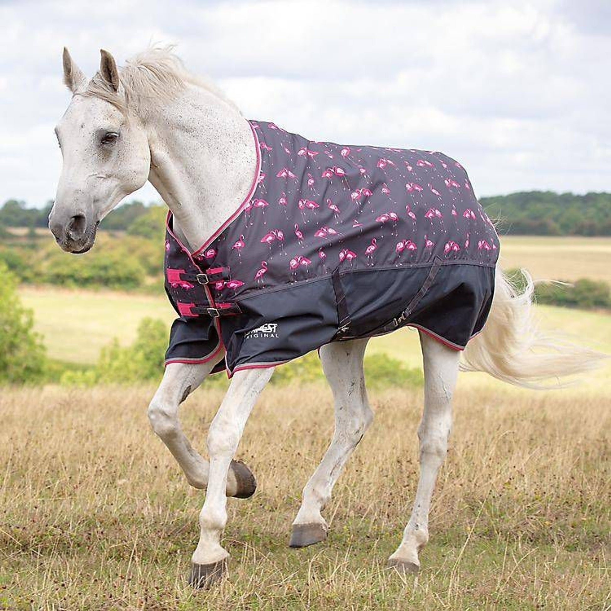 Shires Tempest Original Lite Fox Print Sheet