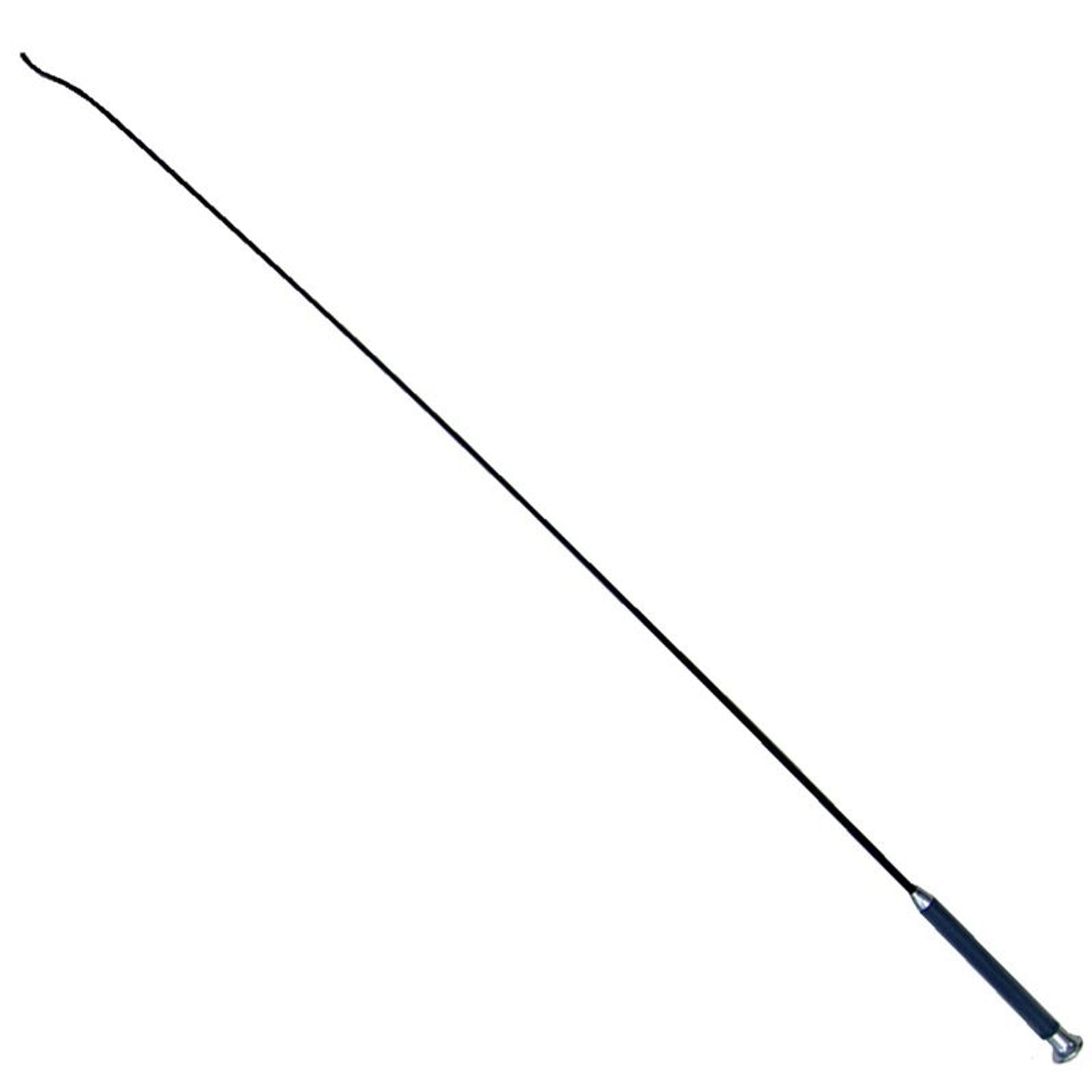 TE026780.jpg