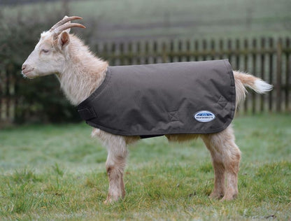 Weatherbeeta Goat Coat