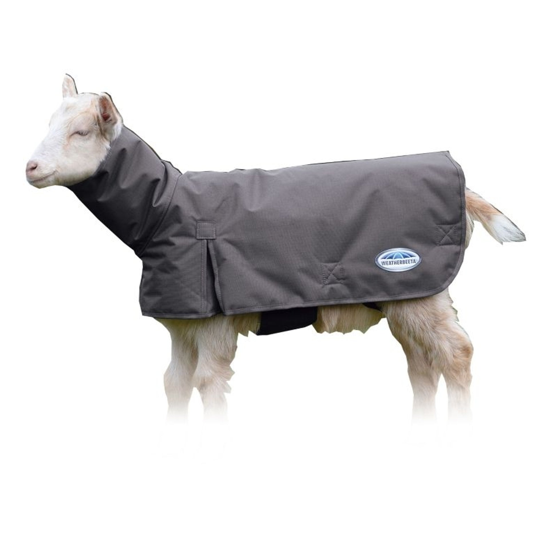 Weatherbeeta Deluxe Goat Coat with Neck