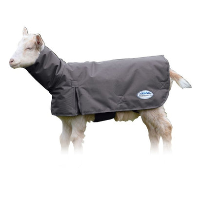 Weatherbeeta Deluxe Goat Coat with Neck