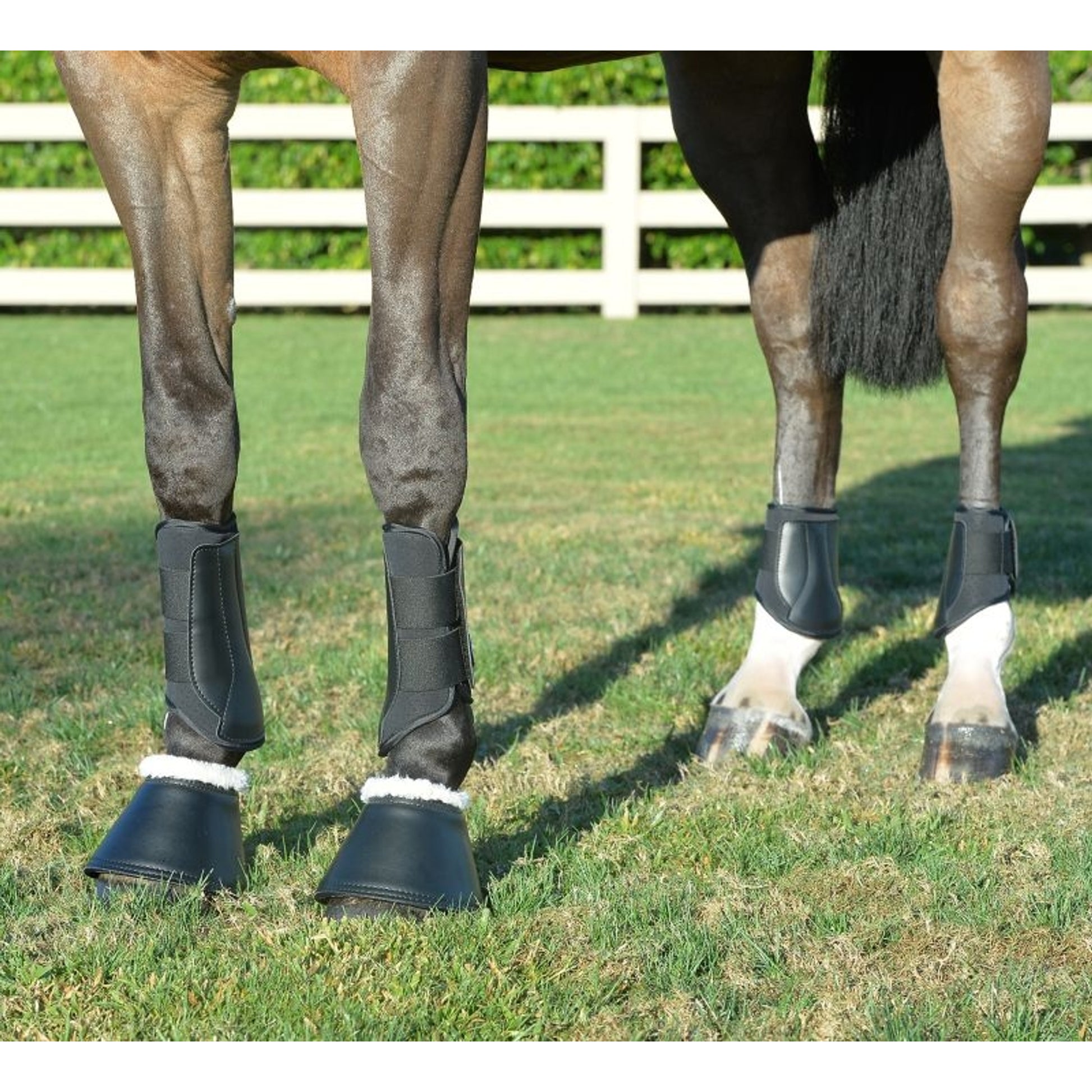 EquiFit Essential Bell Boots Sheepwool