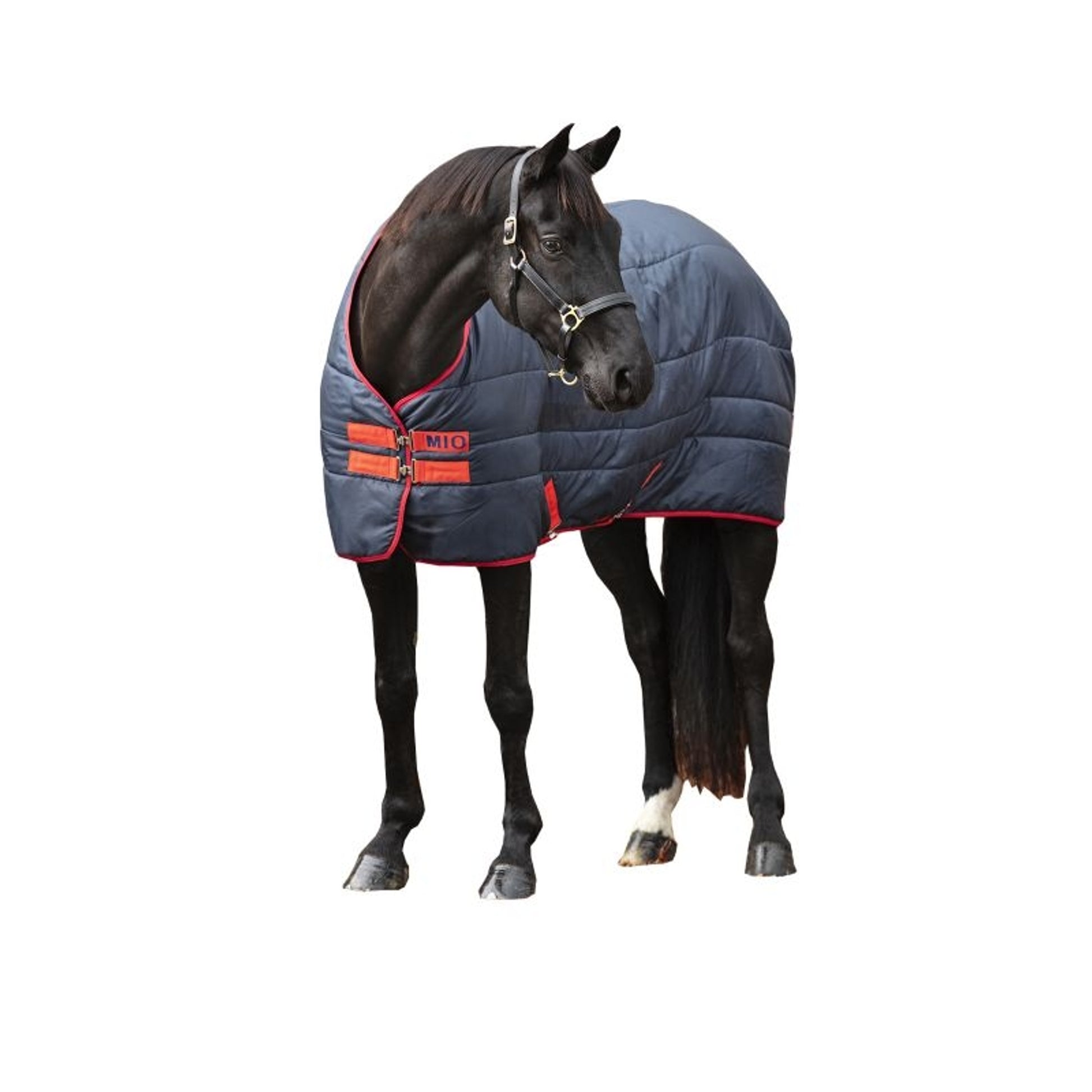 Mio Insulator Medium 150g