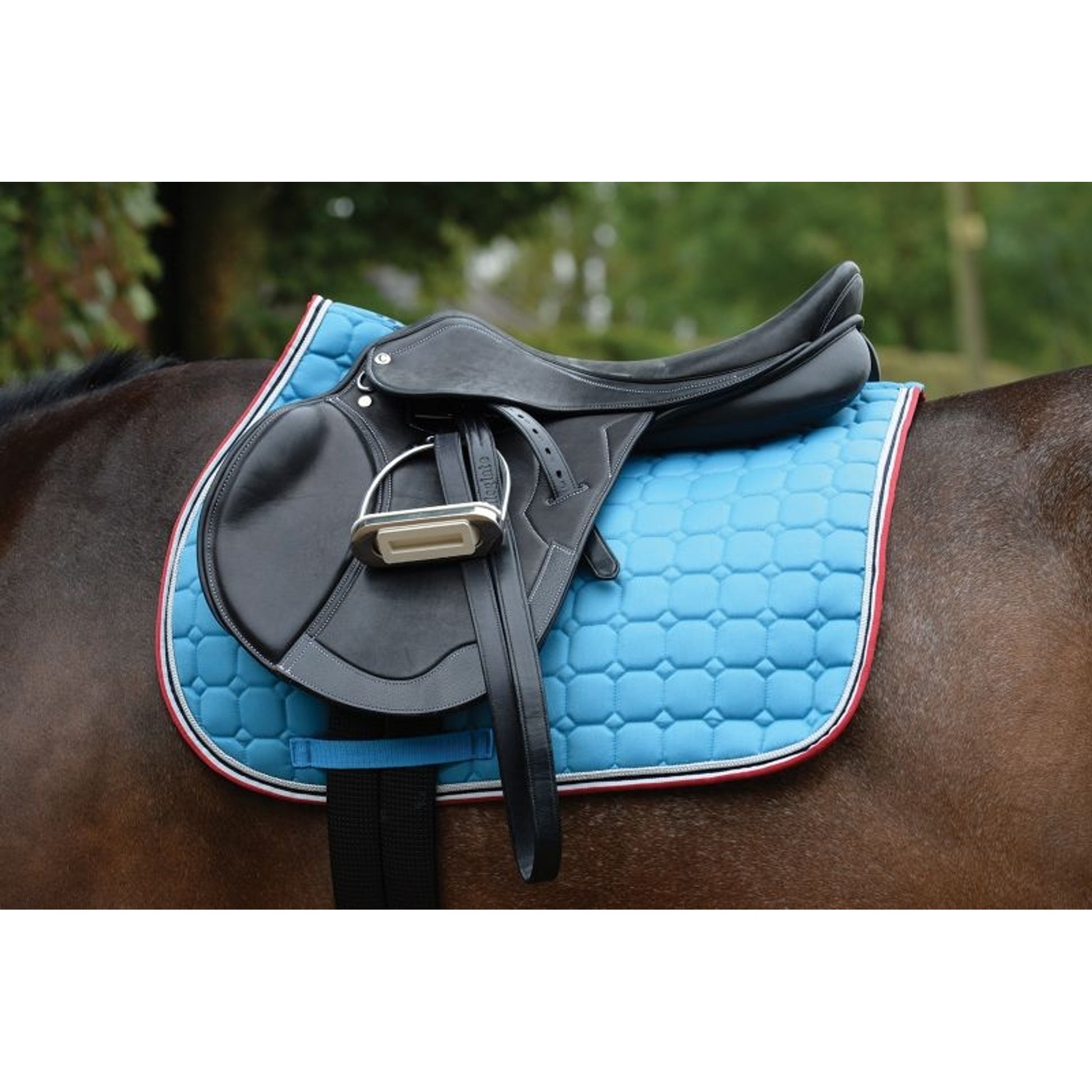 Saxon Coordinate Quilted AP Saddle Pad