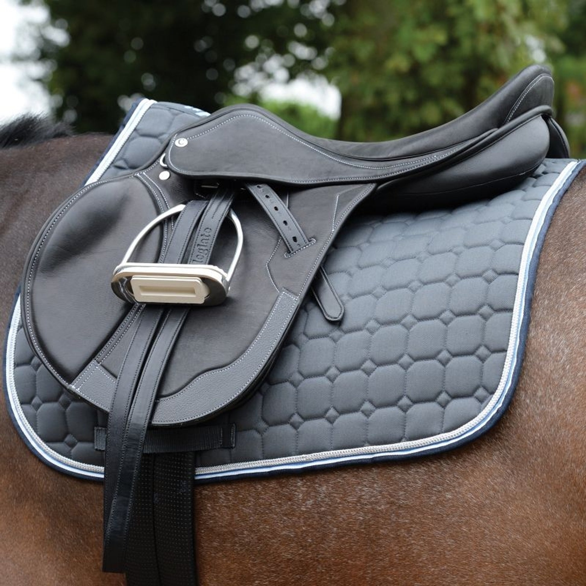 Saxon Coordinate Quilted AP Saddle Pad
