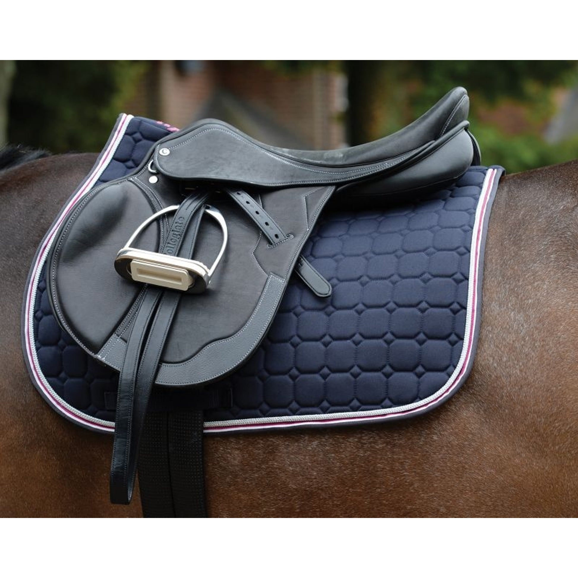 Saxon Coordinate Quilted AP Saddle Pad