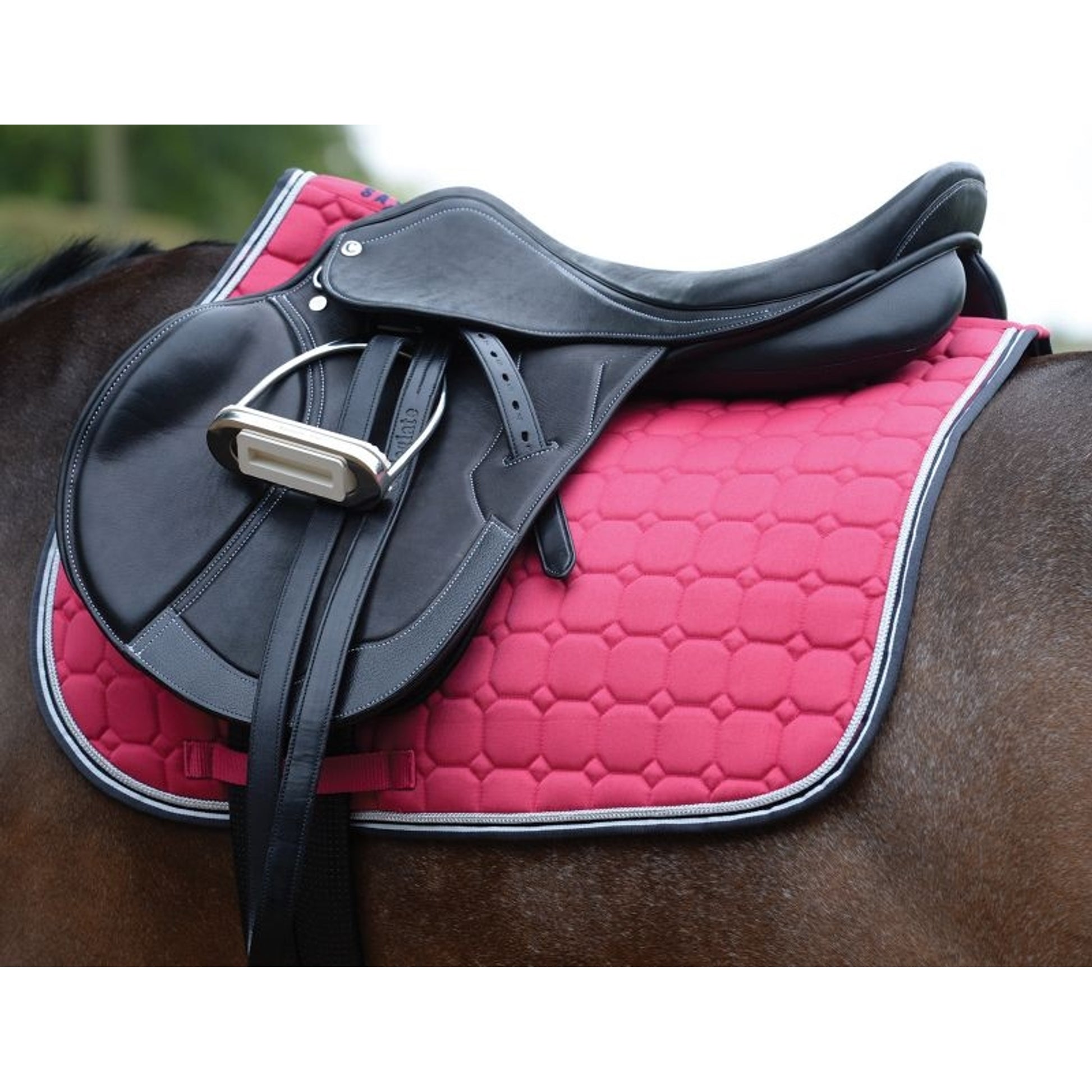 Saxon Coordinate Quilted AP Saddle Pad