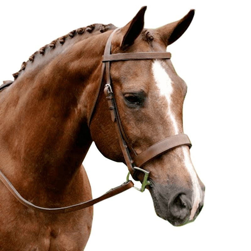 Arc de Triomphe Fox Hunt Bridle with Reins