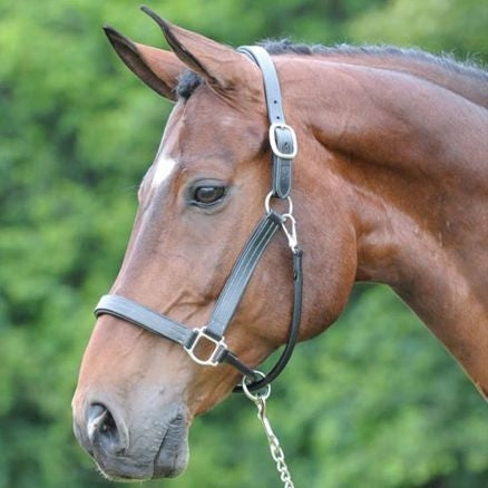 Arc de Triomphe Leather Halter