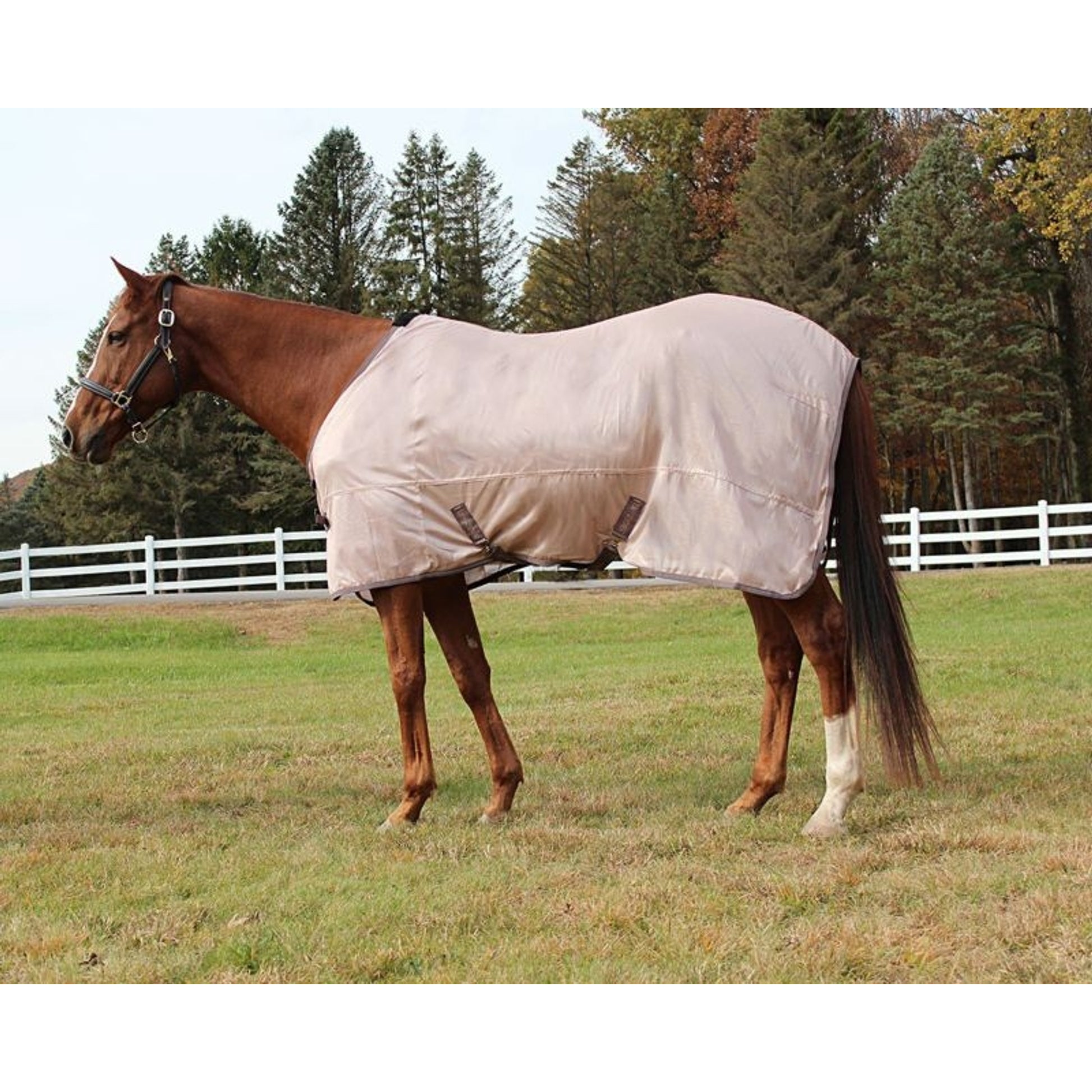 TuffRider Comfy Mesh Pony Fly Sheet
