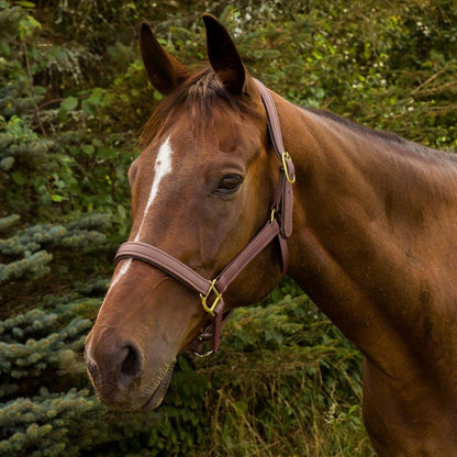 HDR Vegan-X Leather Halter