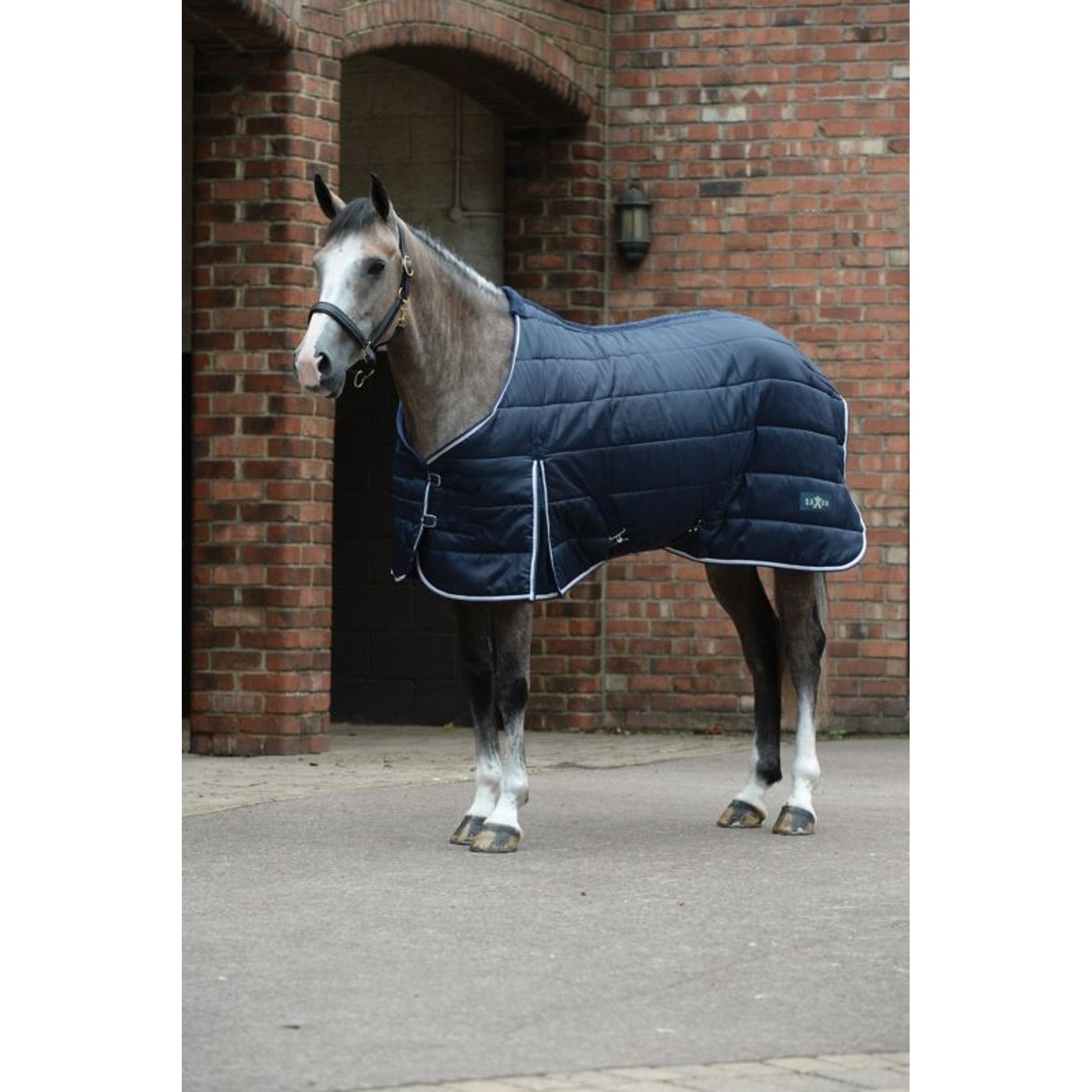 Saxon Channel Quilt Standard Neck Stable Blanket