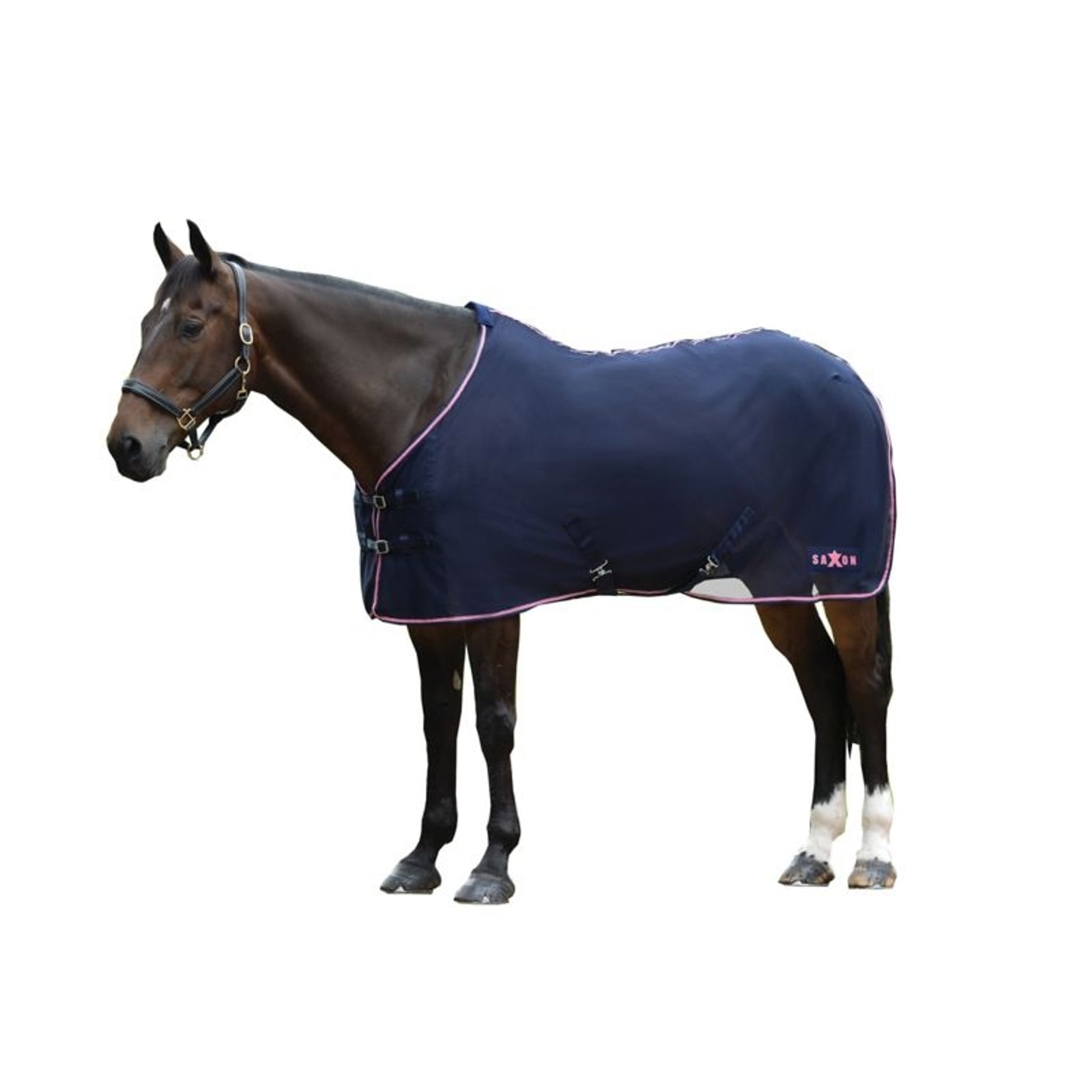 Saxon Element Net Cooler Standard Neck