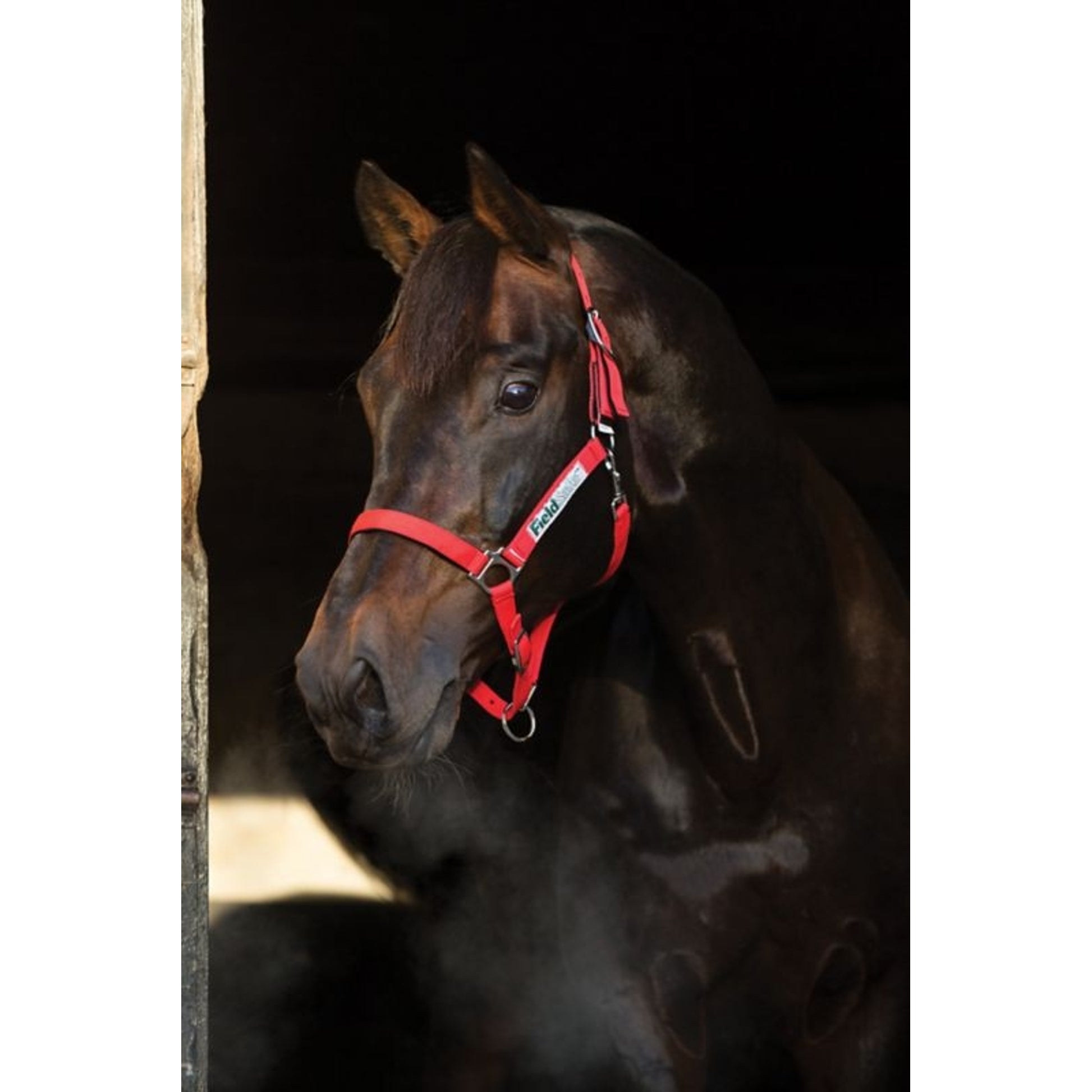 Rambo FIELDSAFE Safety Halter