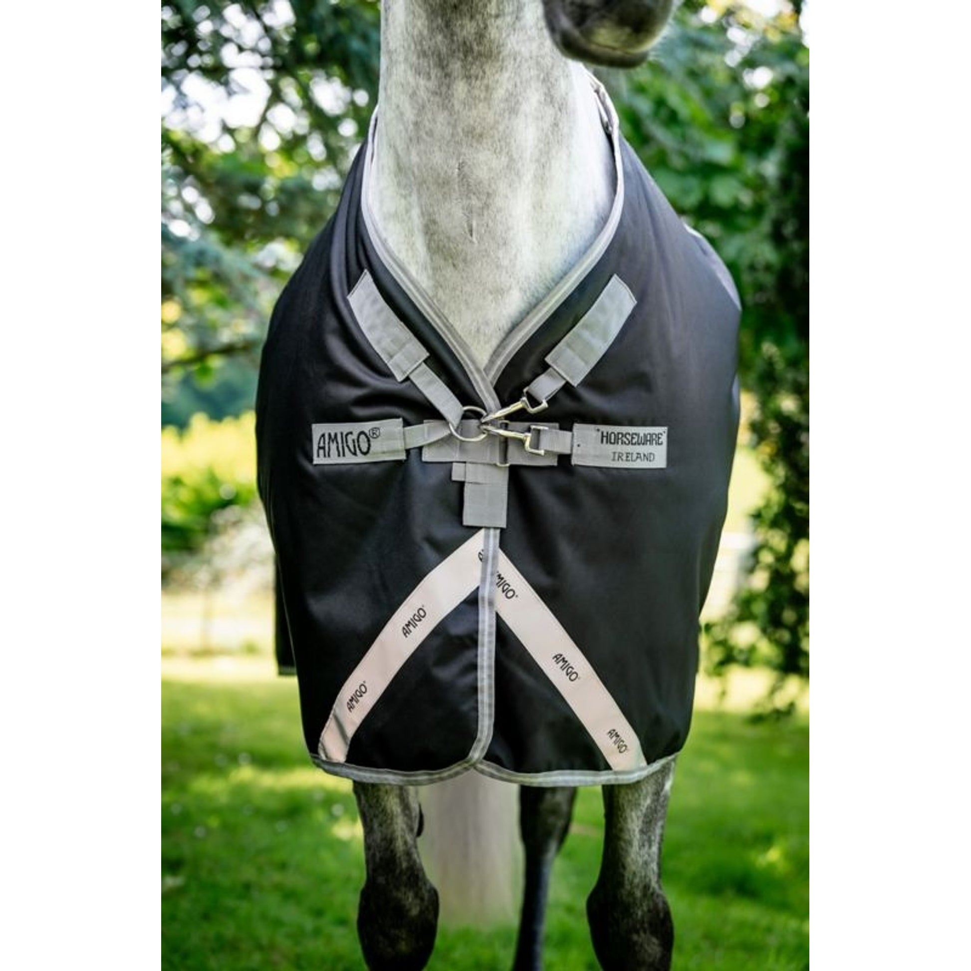 Amigo Bravo 12 XL Original T/O Lite
