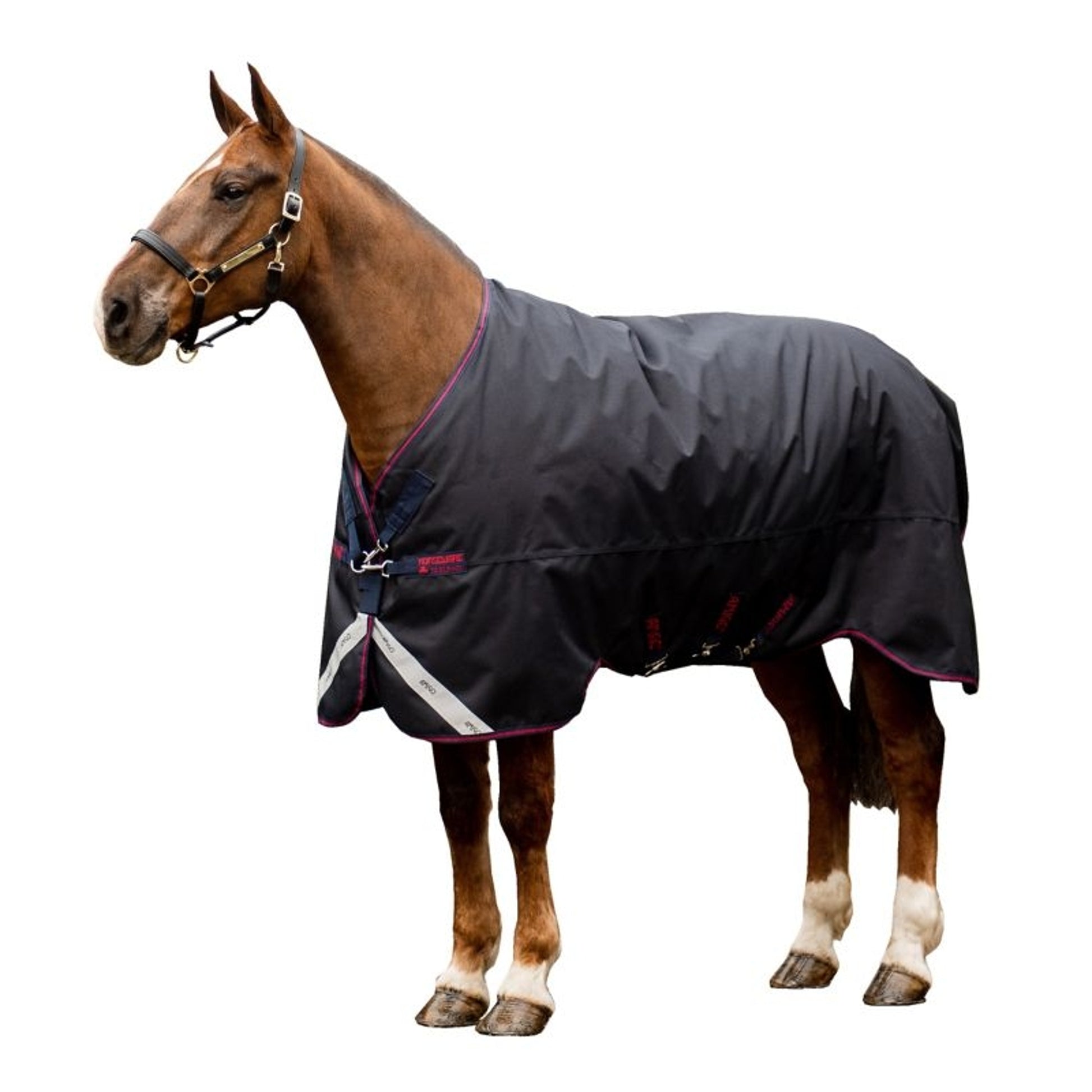 Amigo Bravo 12 XL Original T/O Lite
