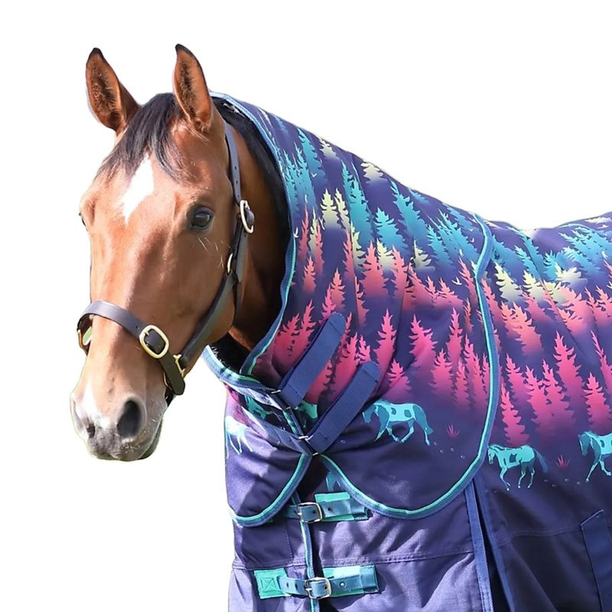 Shires Tempest Org Lite Hood