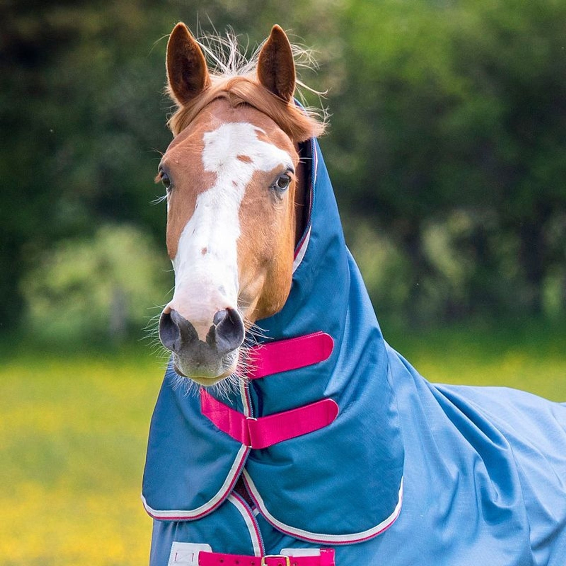 Shires Tempest Org Lite Hood