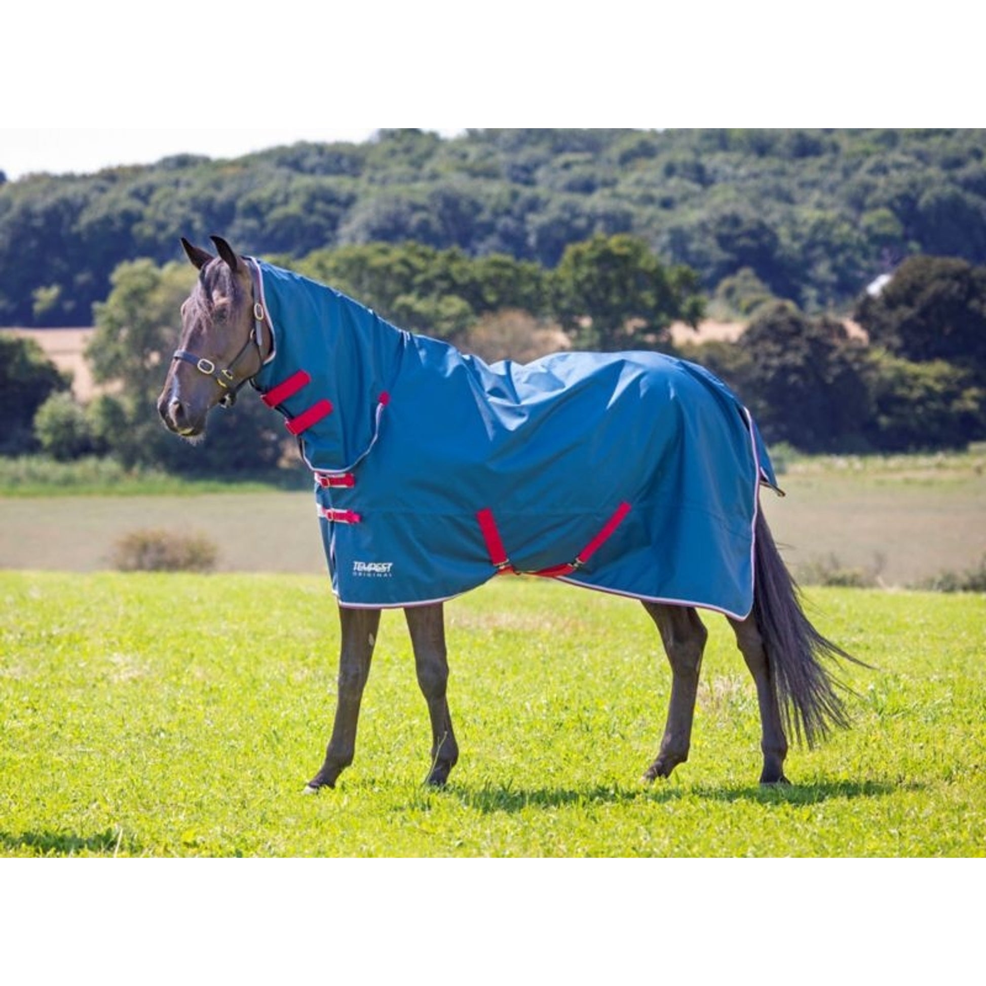 Shires Tempest Org Lite Hood