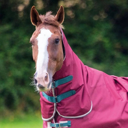 Shires Tempest Org 200g Hood