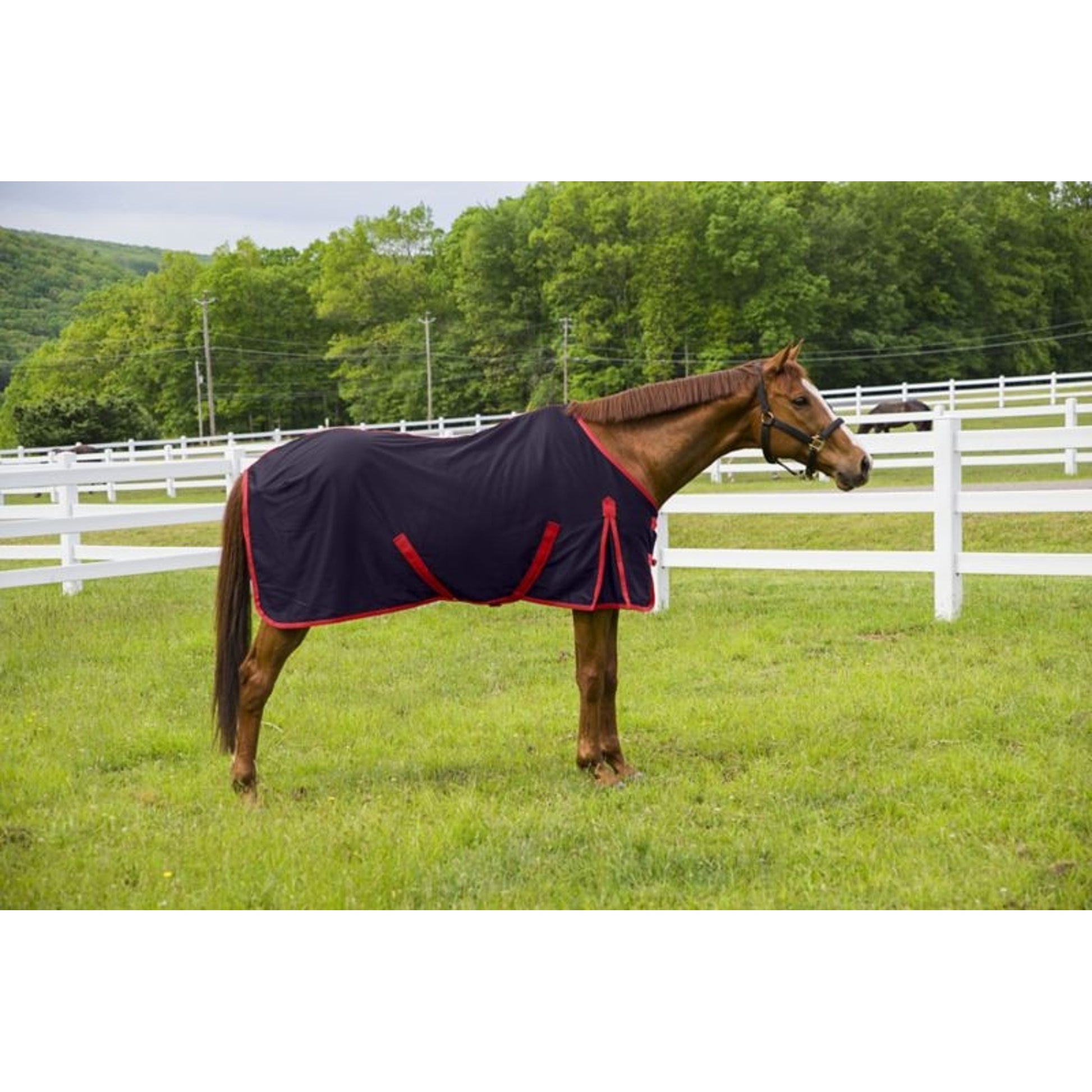TuffRider Kozy Komfort Stable Sheet