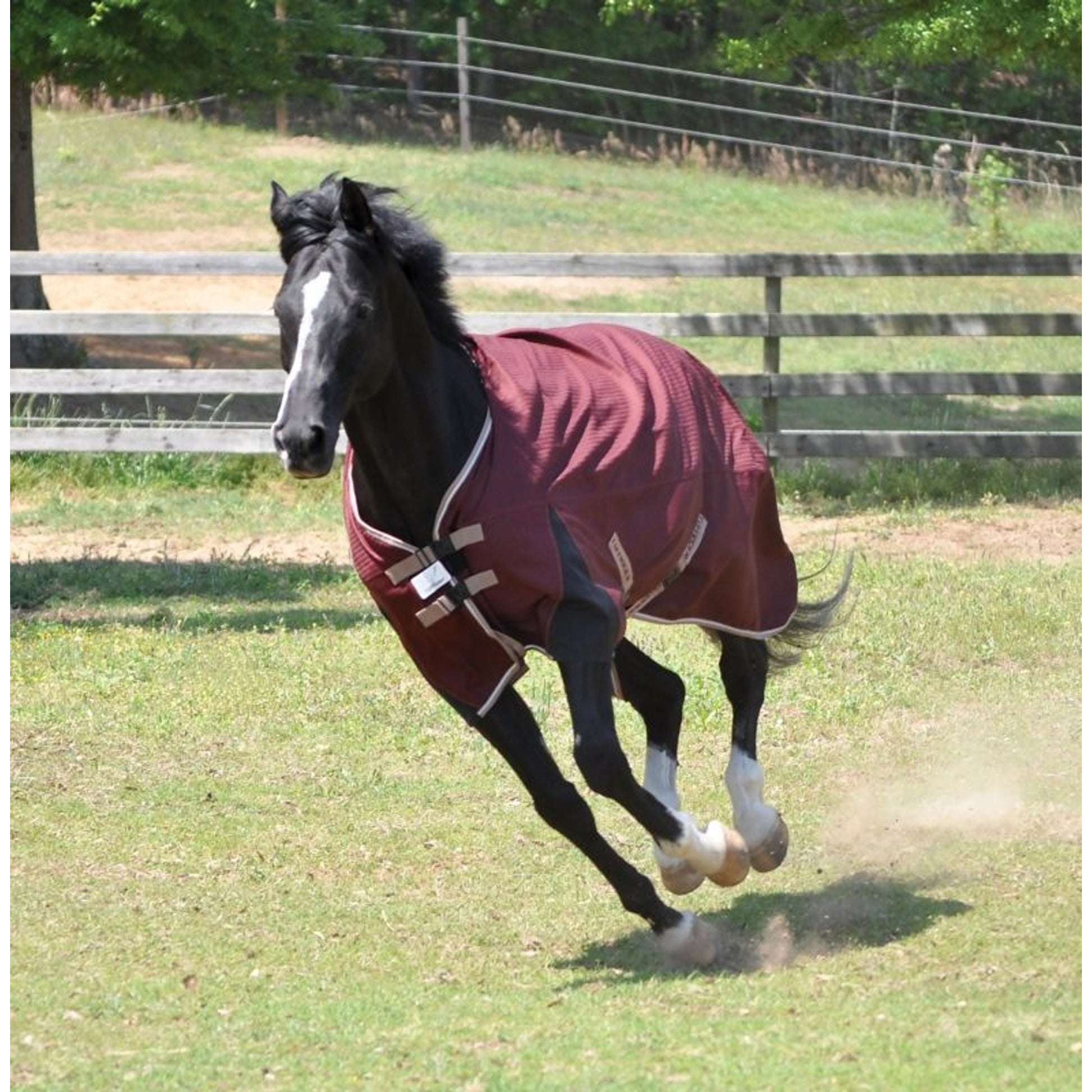 Equine Couture Ladies Equilibrium Long Sleeve Shir