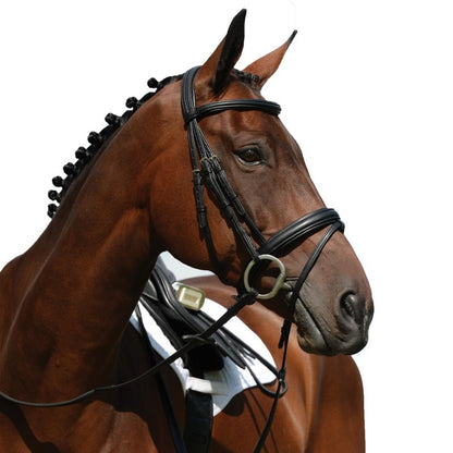 Collegiate Syntovia Flash Bridle