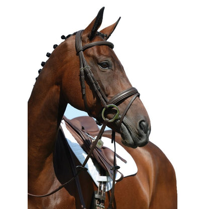 Collegiate Syntovia Flash Bridle