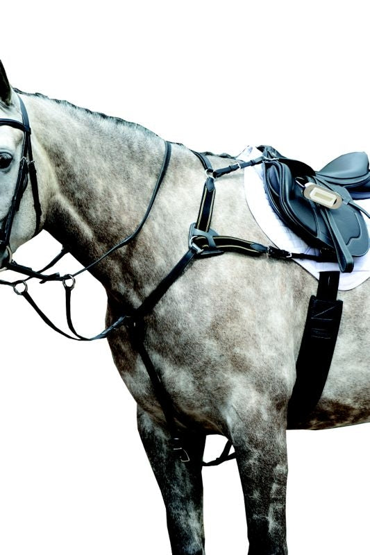 Collegiate Essential 5pt Breastplate