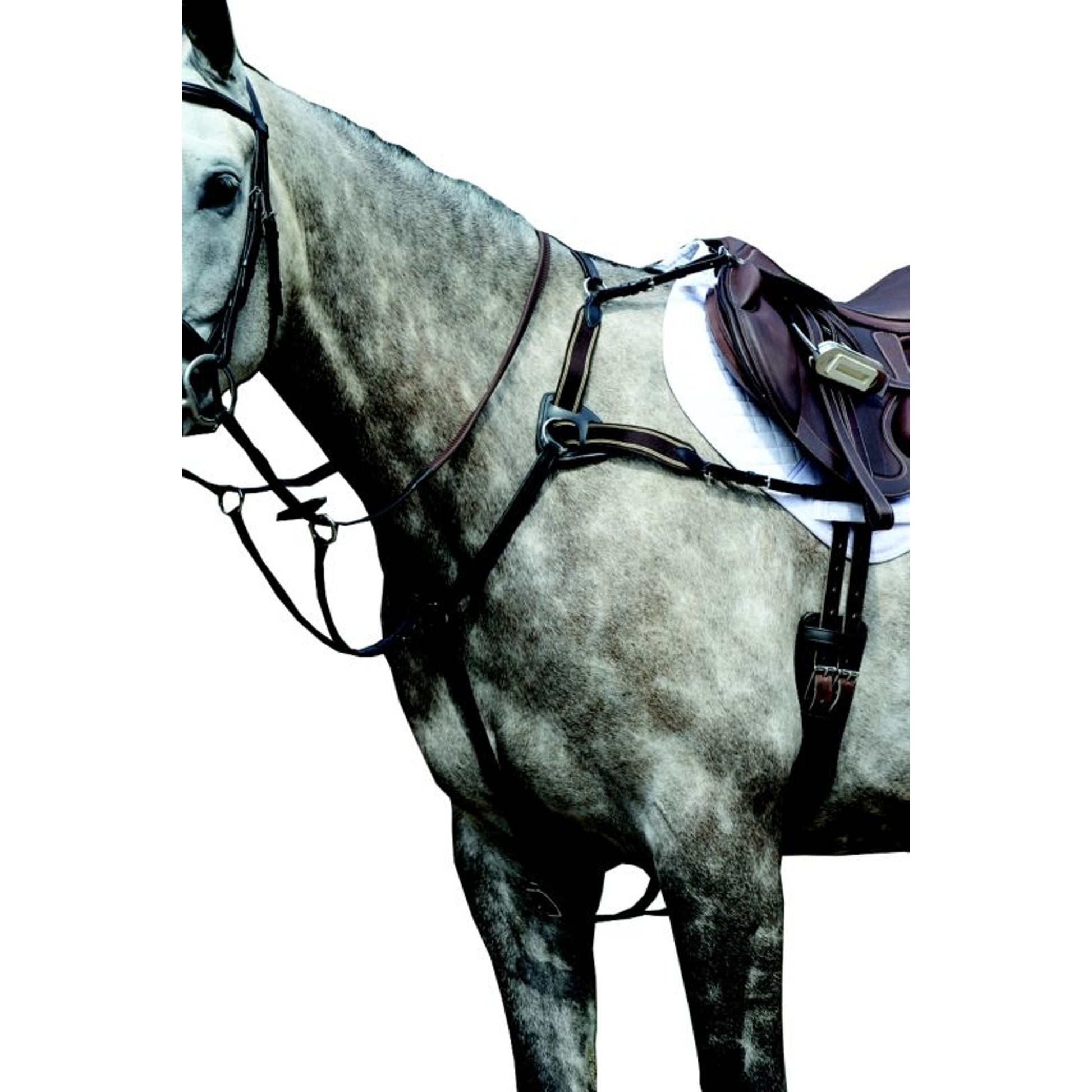 Collegiate Essential 5pt Breastplate