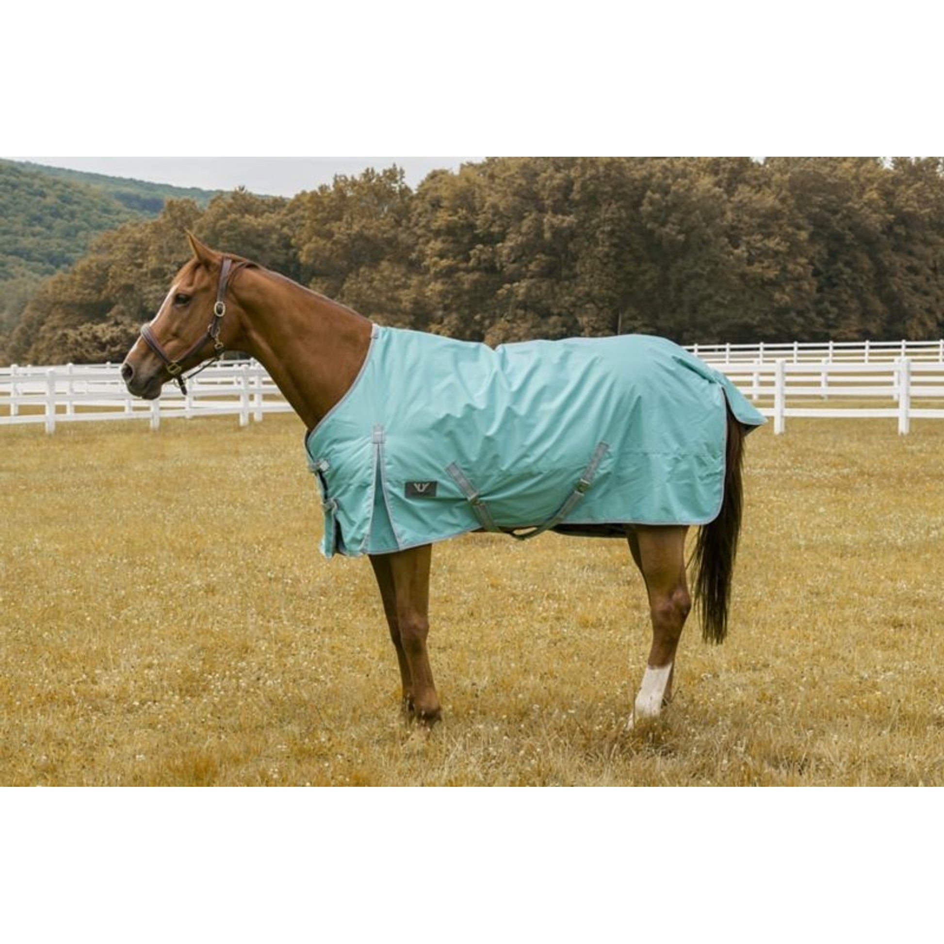 TuffRider 600D Comfy Turnout Blanket