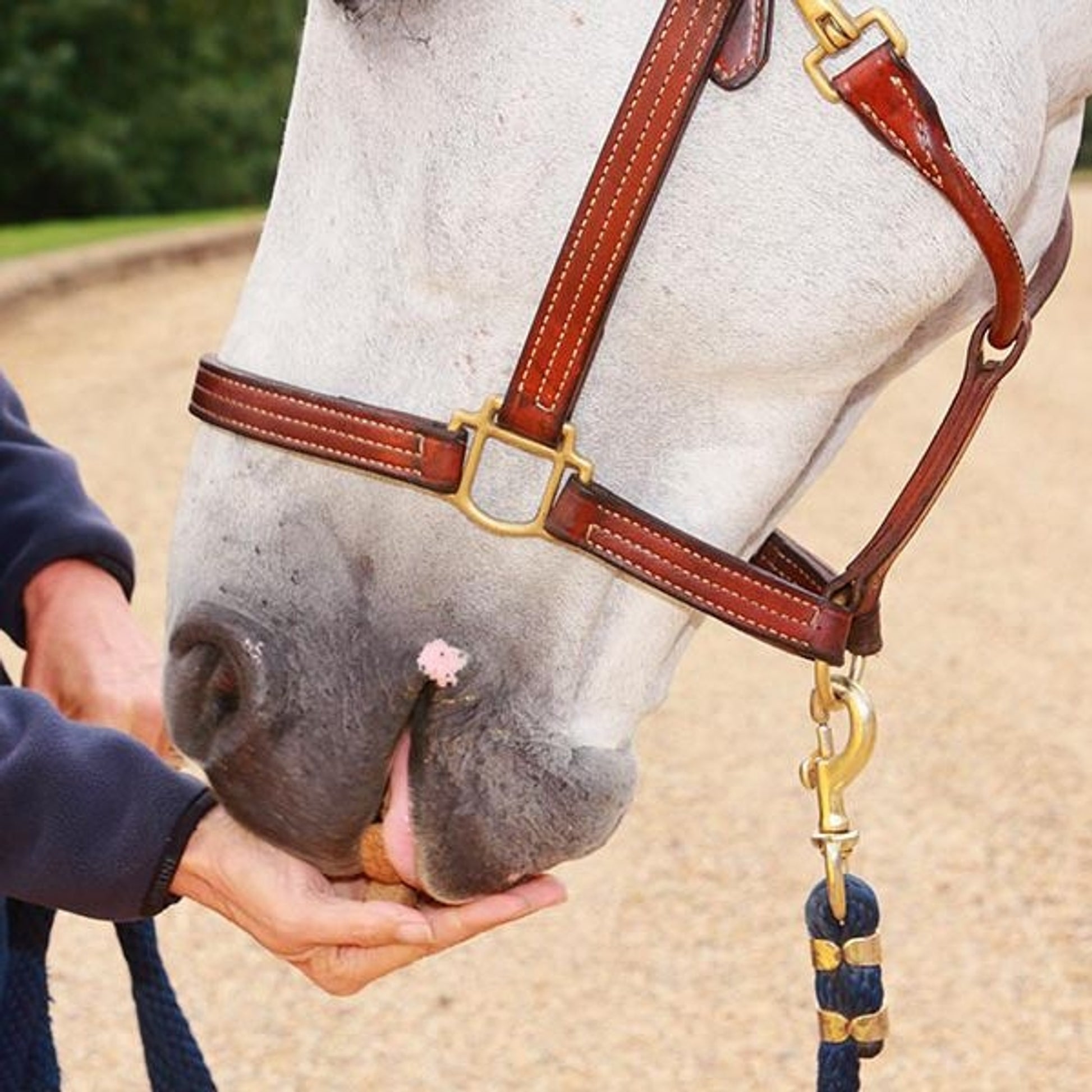 Kelcies Pumpkin Spice Horse Treats
