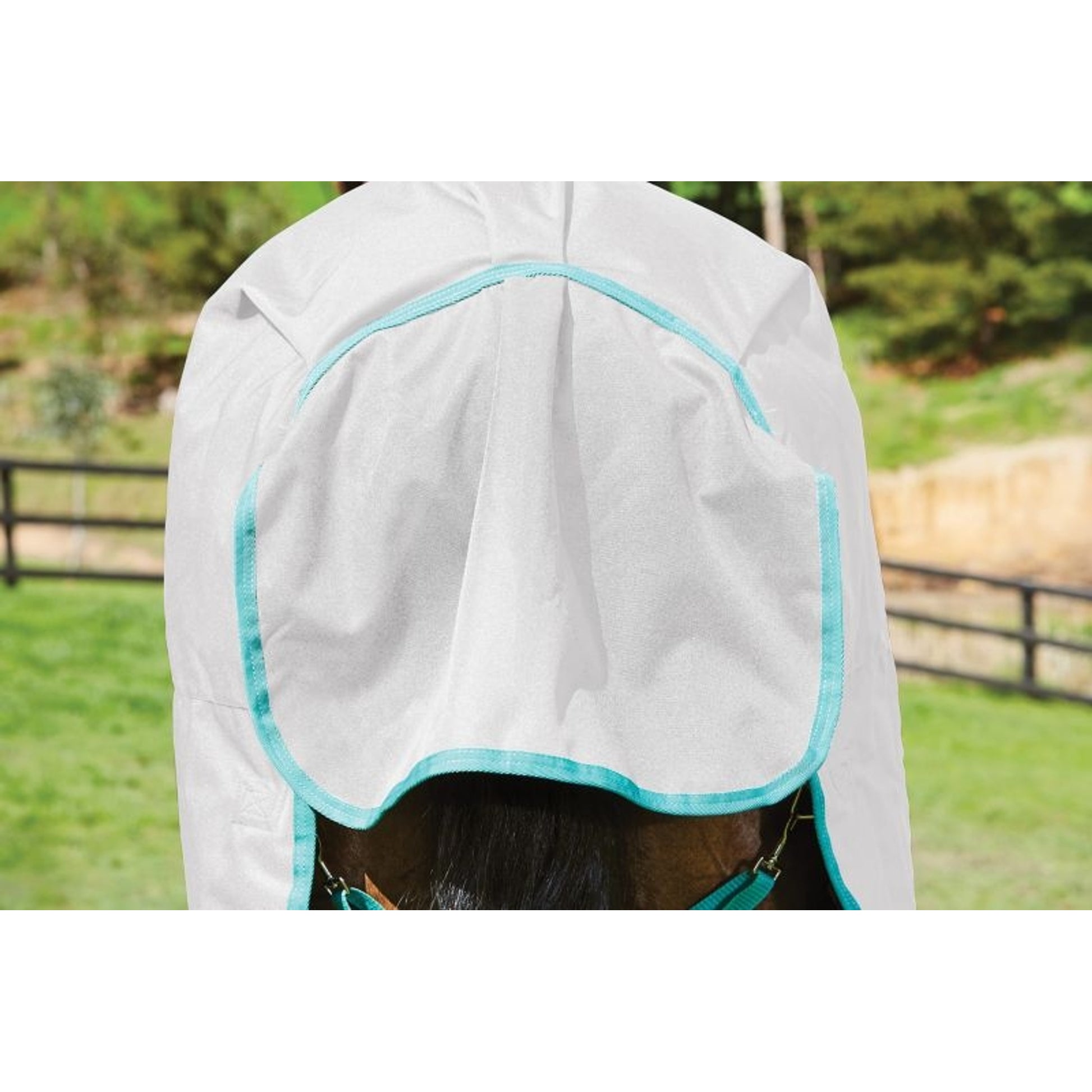 Weatherbeeta Green-Tec 900D Standard Neck Lite Plus