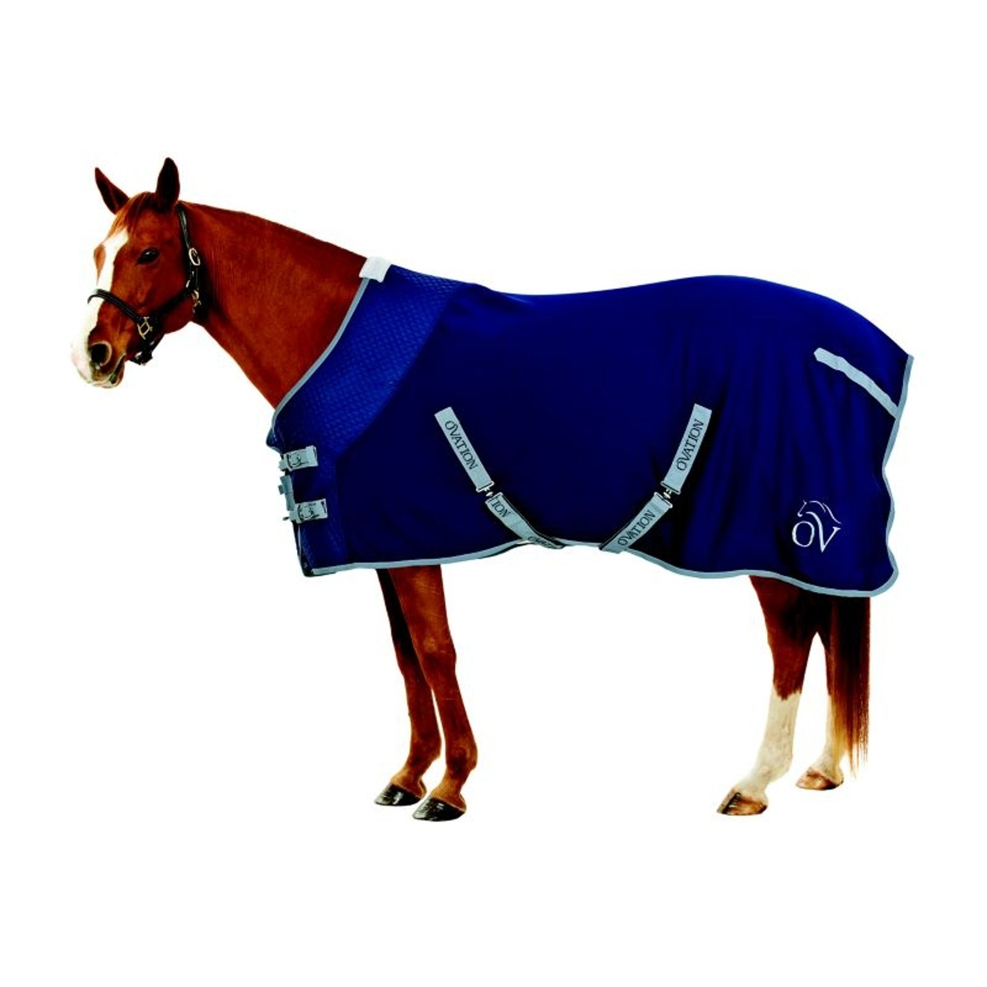 Ovation Turbo-Dry Cooler
