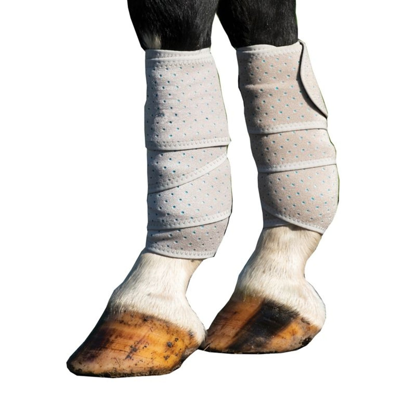 TE033866_P_WO.jpg